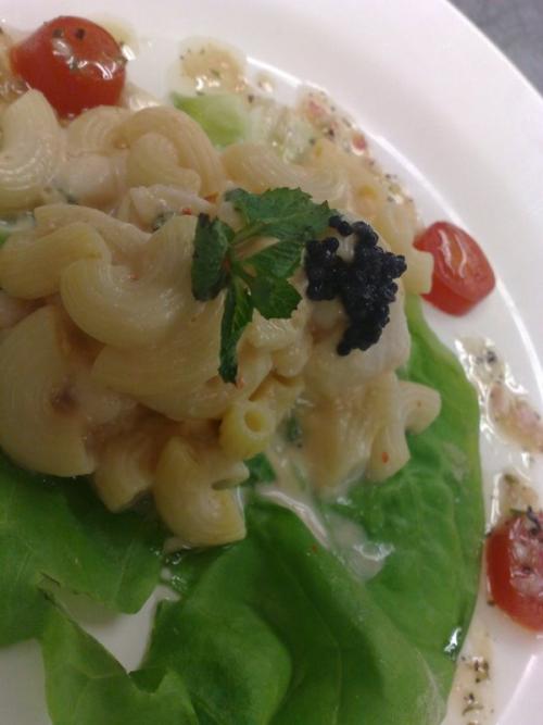 Egg Macaroni Salad - Creamy Egg Starters